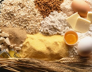 EIRICH پیش میکس نانوایی